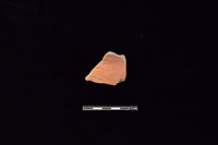 藏品(陶罐)的圖片